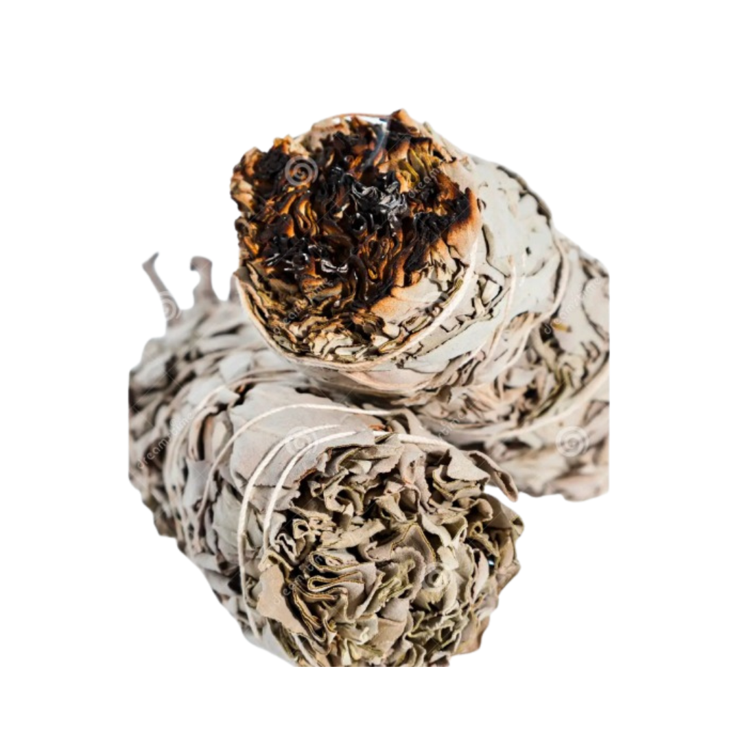 Celestial Harmony White Gold Pendant