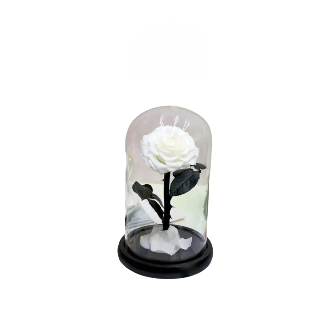 Forever White Infinity Rose - Elegant preserved white rose in a glass dome with gold accents, perfect for Eid gifting in Dubai.