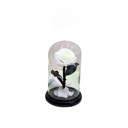 Forever White Infinity Rose - Elegant preserved white rose in a glass dome with gold accents, perfect for Eid gifting in Dubai.