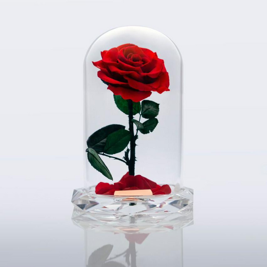 Mother's Day forever red infinity rose