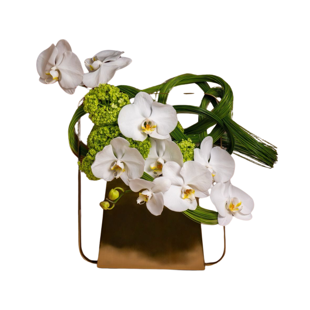 Mother's Day Arabian orchid plant