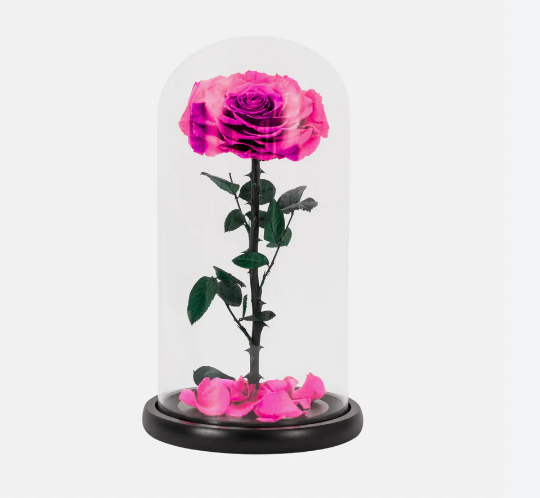 Forever Roses Or Infinity Roses Forever infinity pink rose in glass: Women's Day gift in dubai – Petals ...